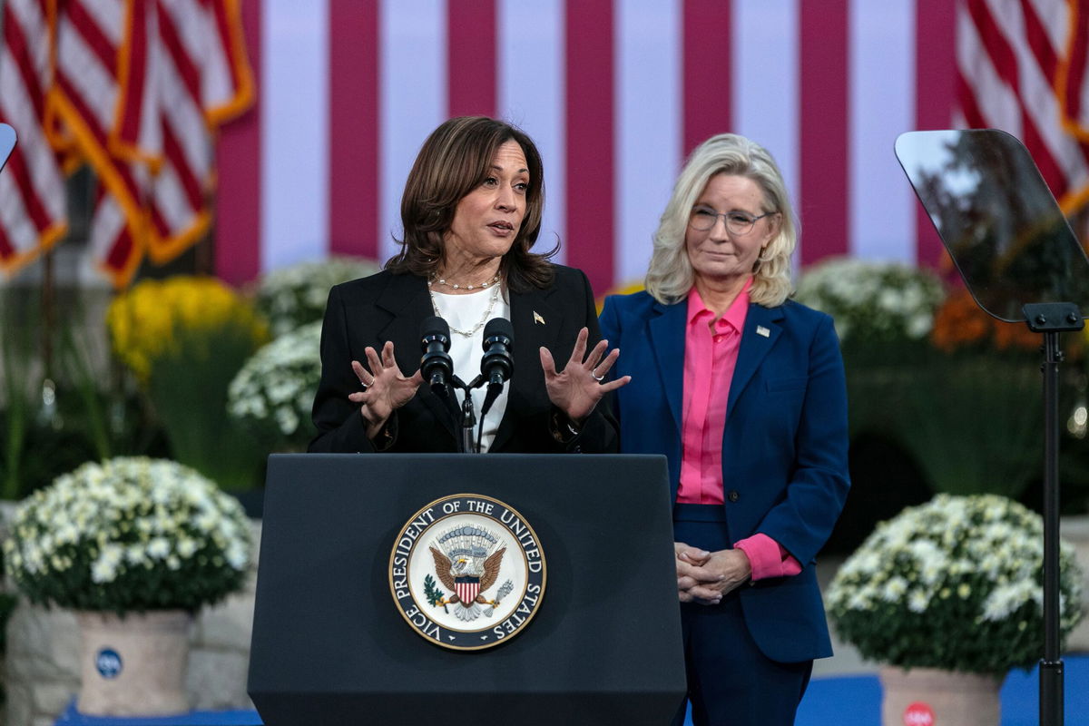 <i>Jim Vondruska/Getty Images via CNN Newsource</i><br/>Vice President Kamala Harris speaks during a rally at Ripon College on October 3 in Ripon