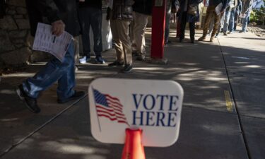 People wait in line to cast their ballots during early voting at a polling station in Black Mountain