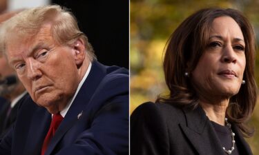 23 Nobel Prize-winning economists called Vice President Kamala Harris’ economic agenda “vastly superior” to the plans laid out by former President Donald Trump.