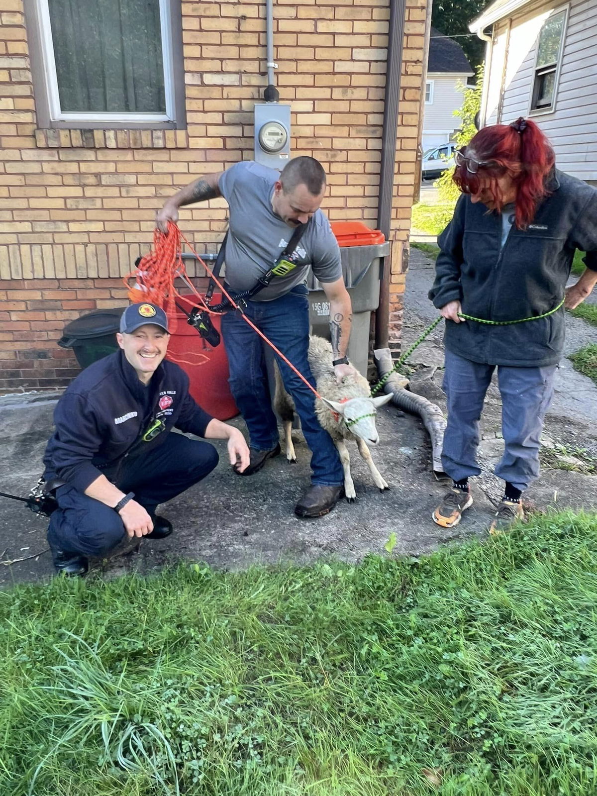 <i>City of Beaver Falls Fire Department /KDKA via CNN Newsource</i><br />The City of Beaver Falls requested assistance for a runaway sheep that led officials on a six-block chase.