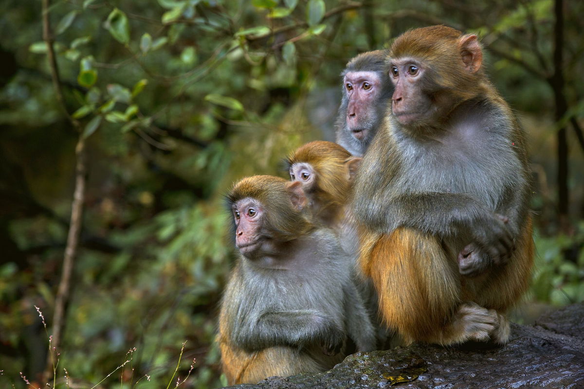 <i>Istvan Kadar Photography/Moment RF/Getty Images via CNN Newsource</i><br/>