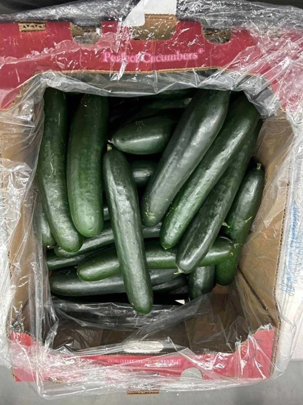 <i>Food and Drug Administration via CNN Newsource</i><br/>SunFed Produce announced it's recalling fresh cucumbers distributed in the US and Canada after the US Food and Drug Administration notified it about illnesses from salmonella contamination.