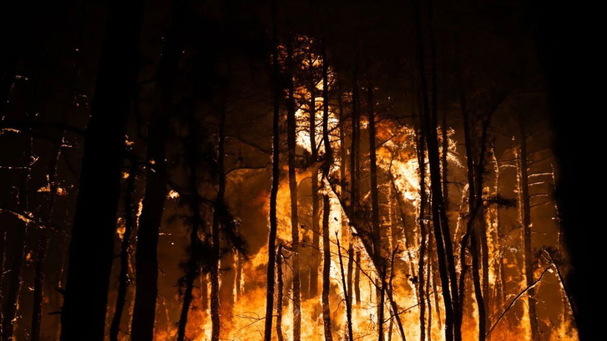 The Shotgun Fire in Jackson Township, New Jersey, destroyed forest land before being contained. New Jersey Forest Fire Service