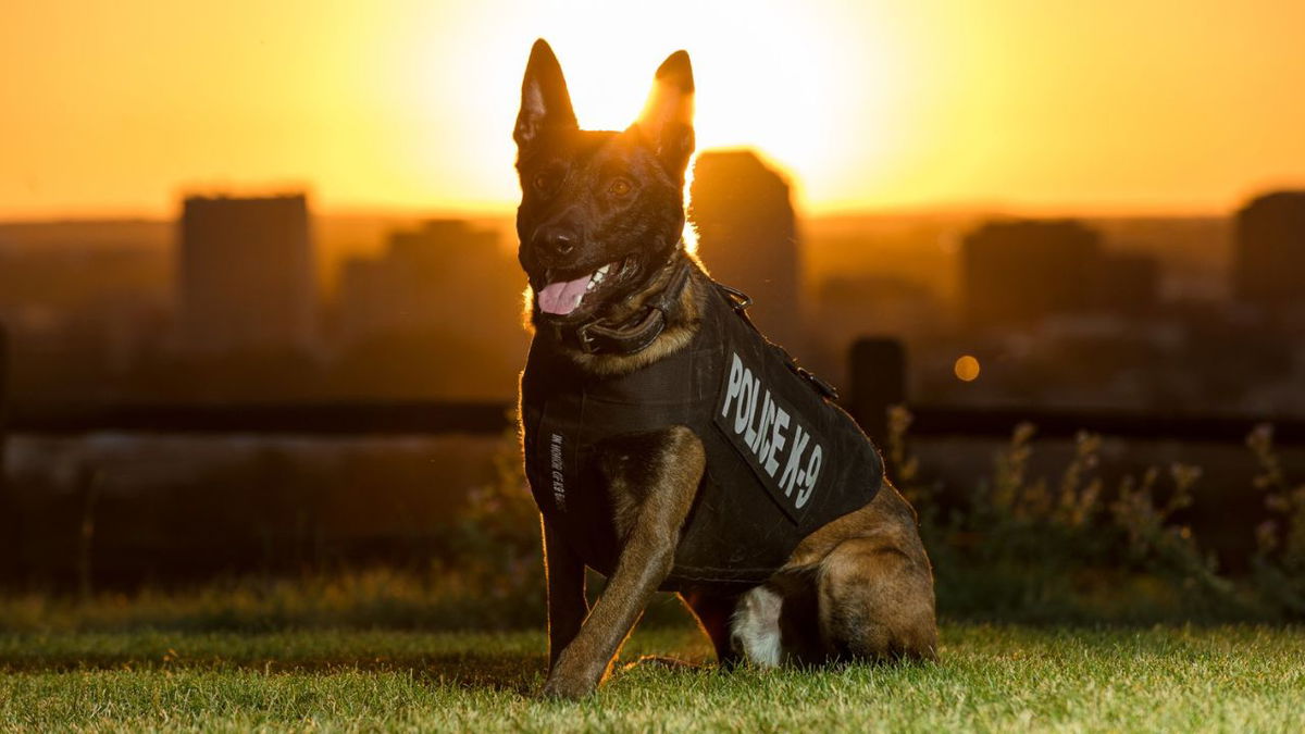 K9 Zev