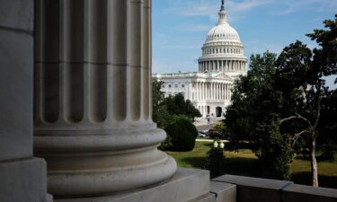 US Capitol Police arrested a Democratic staffer on Monday morning after he entered a House office building with four ammunition magazines and 11 rounds of ammunition