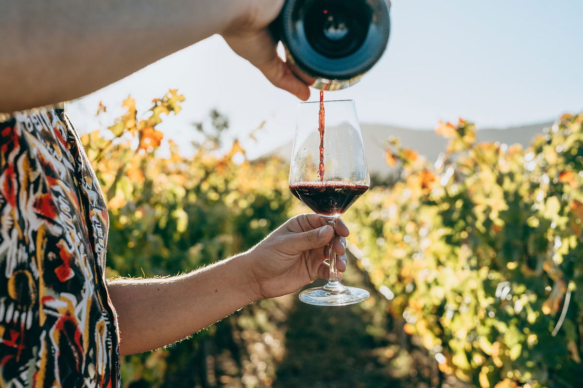 <i>Igor Alecsander/iStockphoto/Getty Images via CNN Newsource</i><br/>A true portion of wine is only 4 ounces