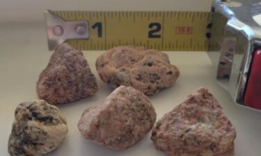 Rocks are lined up along a measuring tape, showing some are roughly one inch wide.