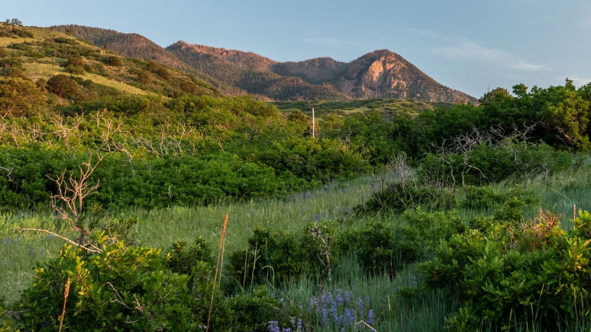 Blodgett Open Space on the city's northwest side