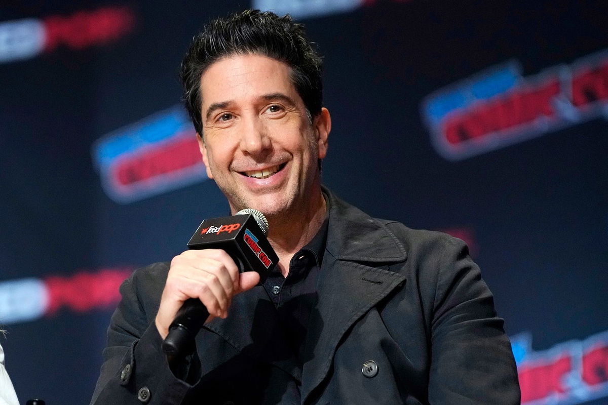 <i>Charles Sykes/Invision/AP via CNN Newsource</i><br/>David Schwimmer