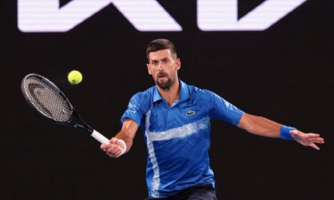 Fans cheer for Djokovic at the Australian Open.