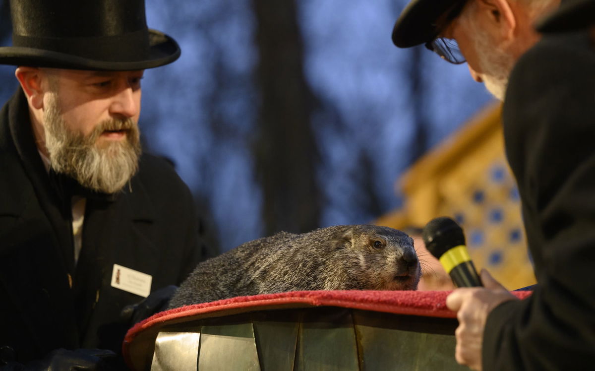 What did the groundhog see? Punxsutawney Phil’s winter predictions are