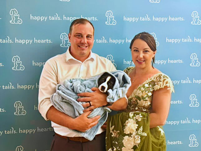 Newlyweds, new adopted puppy