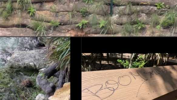 <i>Courtesy Blue Spring State Park/WESH via CNN Newsource</i><br/>Within two weeks of reopening