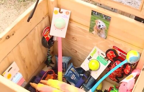 Jessie's Dog Treasures is a box full of toys and treats sitting along the road in the Hills Beach Association neighborhood in Biddeford. Sean Reardon built the box in memory of his golden retriever